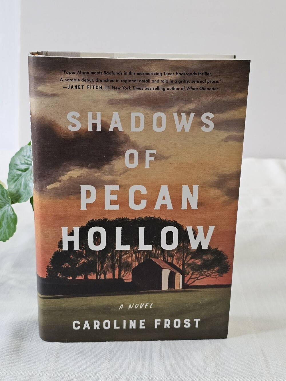 Shadows of Pecan Hollow by Caroline Frost - Hardcover